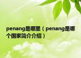 penang是哪里（penang是哪个国家简介介绍）