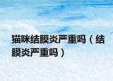 猫咪结膜炎严重吗（结膜炎严重吗）