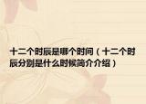 十二个时辰是哪个时间（十二个时辰分别是什么时候简介介绍）