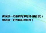 佛说除一切疾病陀罗尼经(拼音版)（佛说除一切疾病陀罗尼经）