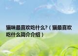 猫咪最喜欢吃什么?（猫最喜欢吃什么简介介绍）