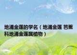 地涌金莲的学名（地涌金莲 芭蕉科地涌金莲属植物）