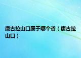 唐古拉山口属于哪个省（唐古拉山口）