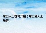龙口人工群岛介绍（龙口港人工岛群）