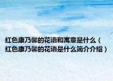 红色康乃馨的花语和寓意是什么（红色康乃馨的花语是什么简介介绍）