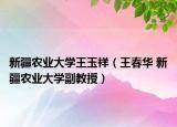 新疆农业大学王玉祥（王春华 新疆农业大学副教授）