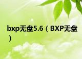 bxp无盘5.6（BXP无盘）
