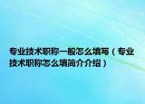 专业技术职称一般怎么填写（专业技术职称怎么填简介介绍）