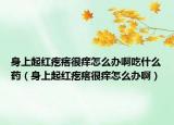 身上起红疙瘩很痒怎么办啊吃什么药（身上起红疙瘩很痒怎么办啊）
