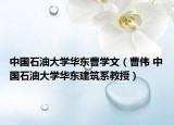 中国石油大学华东曹学文（曹伟 中国石油大学华东建筑系教授）