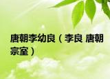 唐朝李幼良（李良 唐朝宗室）