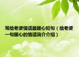 写给老婆情话最暖心短句（给老婆一句暖心的情话简介介绍）