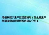 增值税属于生产型增值税吗（什么是生产型增值税麻烦举例说明简介介绍）
