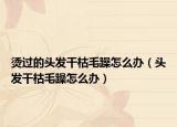 烫过的头发干枯毛躁怎么办（头发干枯毛躁怎么办）