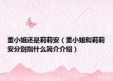 董小姐还是莉莉安（董小姐和莉莉安分别指什么简介介绍）