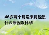 46岁两个月没来月经是什么原因没怀孕