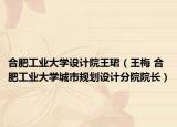 合肥工业大学设计院王珺（王梅 合肥工业大学城市规划设计分院院长）