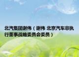 北汽集团谢伟（谢伟 北京汽车非执行董事战略委员会委员）