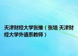 天津财经大学张维（张培 天津财经大学外语系教师）
