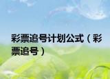 彩票追号计划公式（彩票追号）
