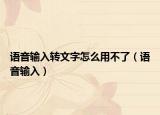 语音输入转文字怎么用不了（语音输入）