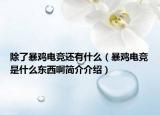 除了暴鸡电竞还有什么（暴鸡电竞是什么东西啊简介介绍）