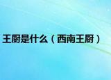 王厨是什么（西南王厨）