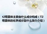 t2噬菌体主要由什么成分构成（T2噬菌体的化学成分是什么简介介绍）