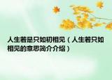 人生若是只如初相见（人生若只如相见的意思简介介绍）