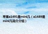 苹果a1491是mini几（a1489是mini几简介介绍）