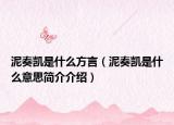 泥奏凯是什么方言（泥奏凯是什么意思简介介绍）