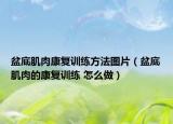 盆底肌肉康复训练方法图片（盆底肌肉的康复训练 怎么做）