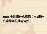 ms的全称是什么意思（ms是什么意思单位简介介绍）