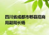 四川省成都市郫县招商局副局长杨