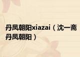 丹凤朝阳xiazai（沈一斋丹凤朝阳）