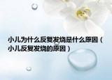 小儿为什么反复发烧是什么原因（小儿反复发烧的原因）