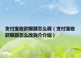 支付宝收款限额怎么调（支付宝收款限额怎么改简介介绍）