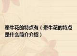 牵牛花的特点有（牵牛花的特点是什么简介介绍）