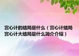 宫心计的结局是什么（宫心计结局 宫心计大结局是什么简介介绍）