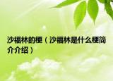 沙福林的梗（沙福林是什么梗简介介绍）