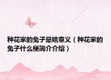 种花家的兔子是啥意义（种花家的兔子什么梗简介介绍）