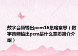数字音频输出pcm16是啥意思（数字音频输出pcm是什么意思简介介绍）