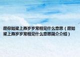 愿你如梁上燕岁岁常相见什么意思（愿如梁上燕岁岁常相见什么意思简介介绍）