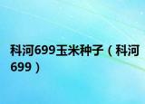 科河699玉米种子（科河699）