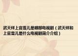 武天祥上官雪儿是哪部电视剧（武天祥和上官雪儿是什么电视剧简介介绍）