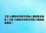 王豪 小黑鱼科技联合创始人兼首席金融官（王豪 小黑鱼科技联合创始人兼首席金融官）