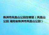 株洲市凤凰山公园在哪里（凤凰山公园 湖南省株洲市凤凰山公园）