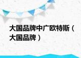 大国品牌中广欧特斯（大国品牌）