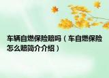 车辆自燃保险赔吗（车自燃保险怎么赔简介介绍）