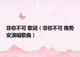 非你不可 歌词（非你不可 陈势安演唱歌曲）